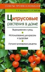 Цитрусовые растения в доме