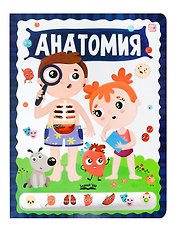 Анатомия