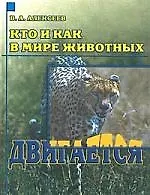 Кто и как в мире животных двигается