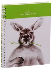 Тетрадь в клетку Kangaroo, 80 листов