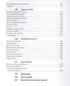 Как работает мозг - 2