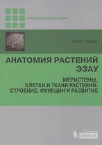 Анатомия растений Эзау. Меристемы, клетки и ткани растений: строение, функции и развитие