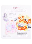 Что? Почему? Зачем? Наше тело. 36 волшебных окошек - 1