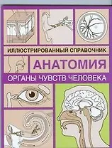 Органы чувств человека