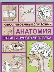 Органы чувств человека