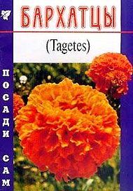 Бархатцы (Посади сам) (м)
