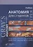 Анатомия Грея для студентов. Учебник - 0