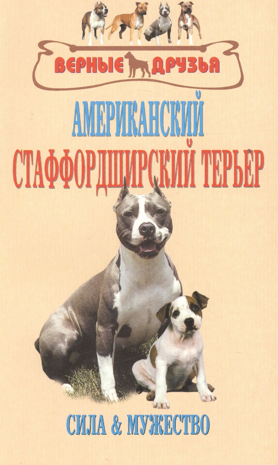 

Американский стаффордширский терьер. Сила и мужество