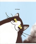 Тетрадь общая «Коты (Эксклюзив)», 40 листов в клетку, A5, в ассортименте - Listoff - 2