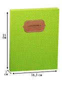 Дневник школьный GoodMark, Green Dots - 1