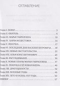 Смерть счетовода - 2