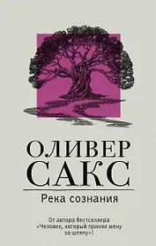 Река сознания