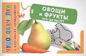 КартНевидимки(обуч) Овощи и фрукты, Что где растет