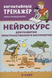 Нейрокурс для развития пространственного восприятия: 5-6 лет