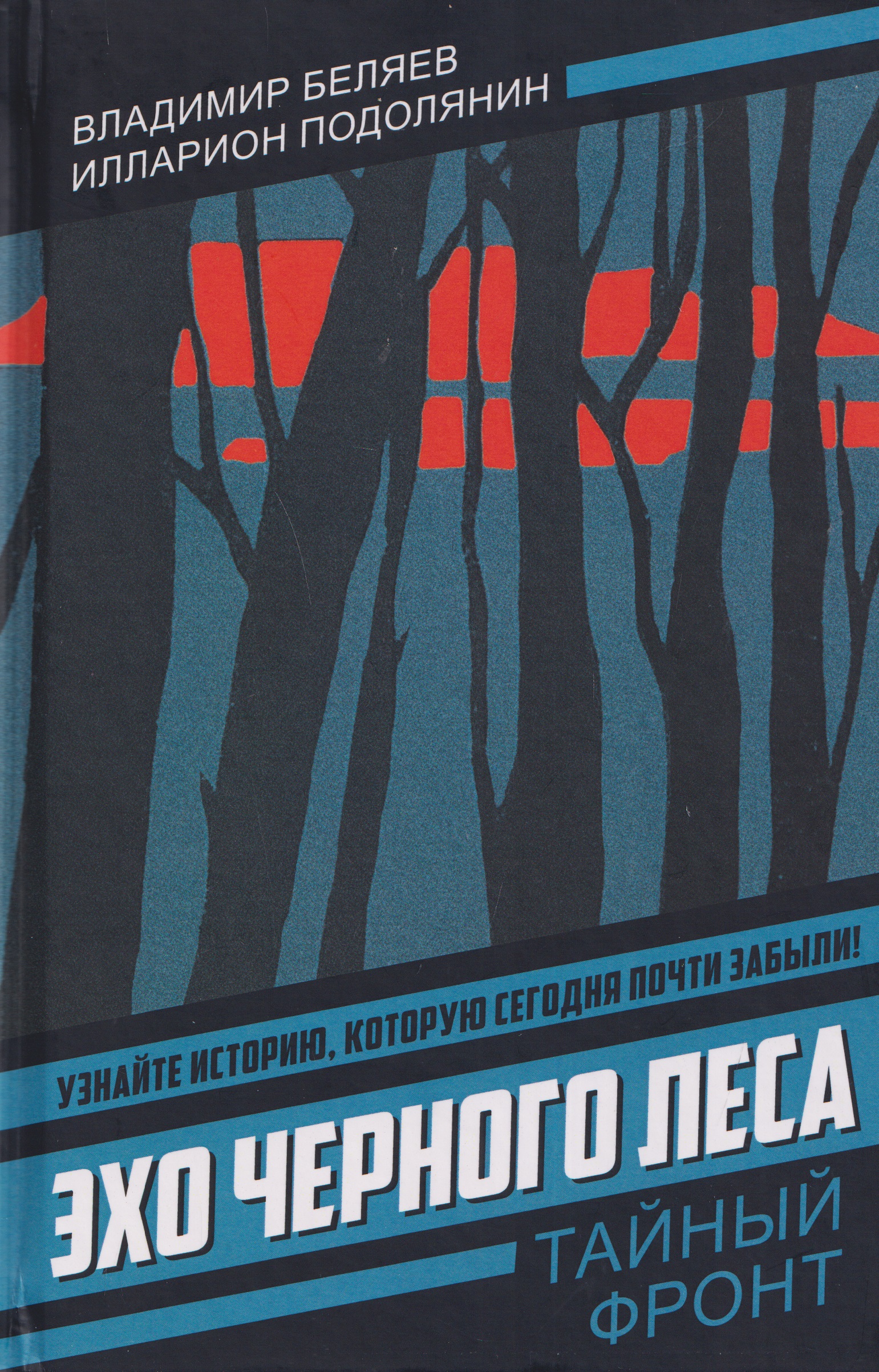 Обложка книги «Эхо черного леса»