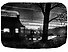 Pax, journey home (Sara Pennypacker) Пакс,  дорога домой (Сара Пеннипакер) /Книги на английском языке - 2