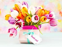 Холст с красками 30х40см. по номерам (20 цв.) Яркие тюльпаны (Арт. Х-9033)