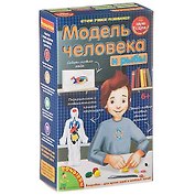 Набор для экспериментов «Модель человека» Японские опыты, Науки с Буки