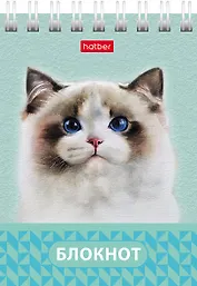 Блокнот А7 40л кл. "Глазки, ушки, носик" мел.картон, гребень, ассорти