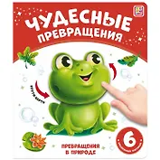 Чудесные превращения. Превращения в природе