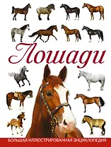 Лошади