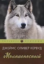 Молниеносный. Повесть