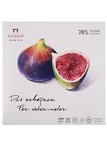 Планшет д/акварели с хлопком "Инжир"208х208мм, 200г 70% хлопок 20 л.