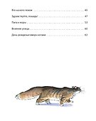 Как мы перевернули дом - 2