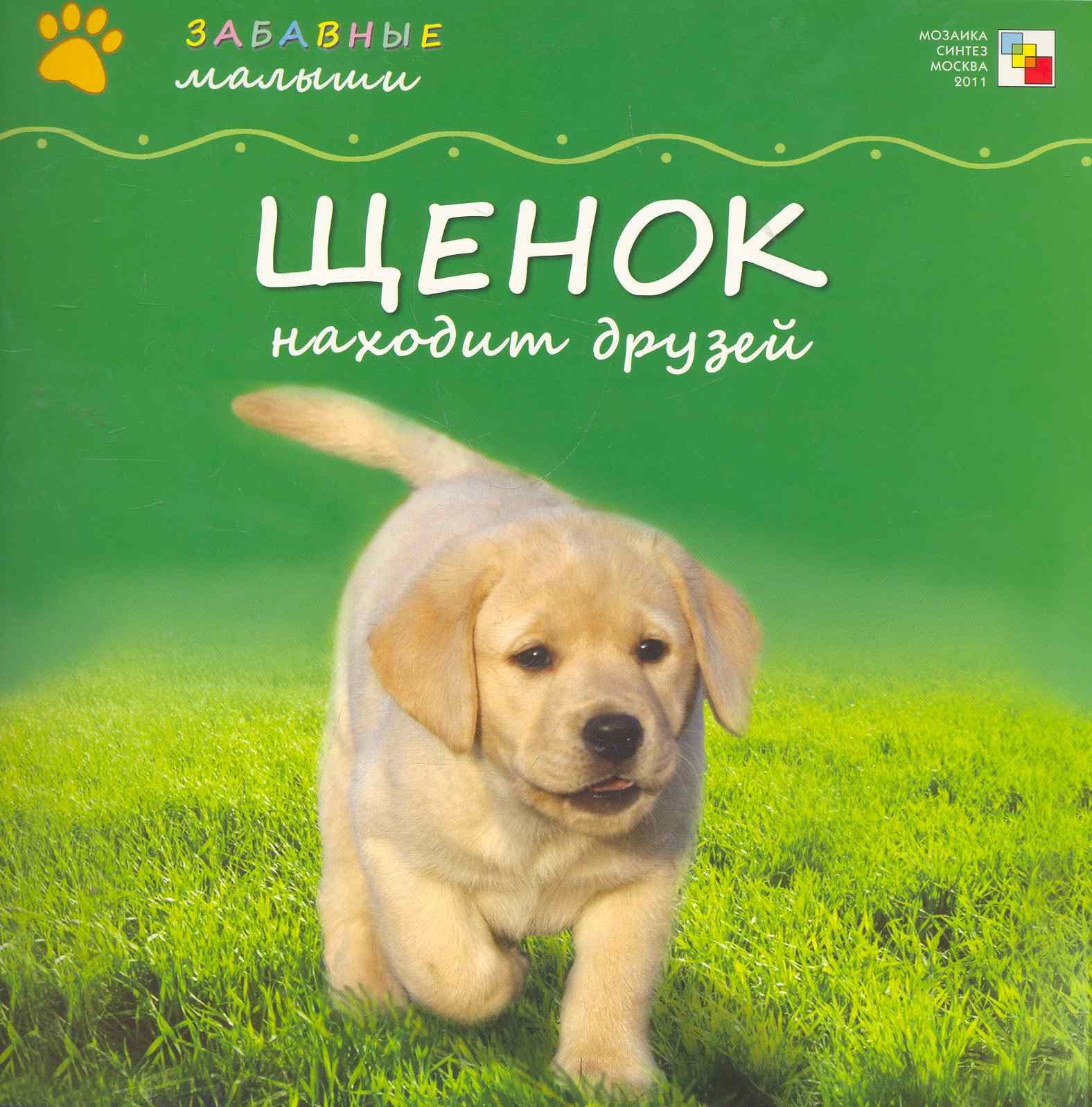 

Щенок находит друзей / (мягк) (Забавные малыши). Бурмистрова Л. (Мозаика)