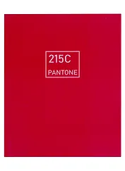 Книга для записей А5+ 96л кл. "Праздничная маджента" интеграл.перепл., матов.ламин., выб.лак