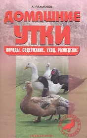 Домашние утки. Содержание и разведение.