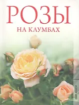 Розы на клумбах