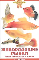 Живородящие рыбки