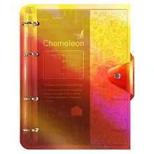 Тетрадь на кольцах «Chameleon. Оранжевый» 120 листов в клетку, А5, сменный блок - Unnika