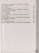 Литература. 6 класс. Работа с текстом - 2