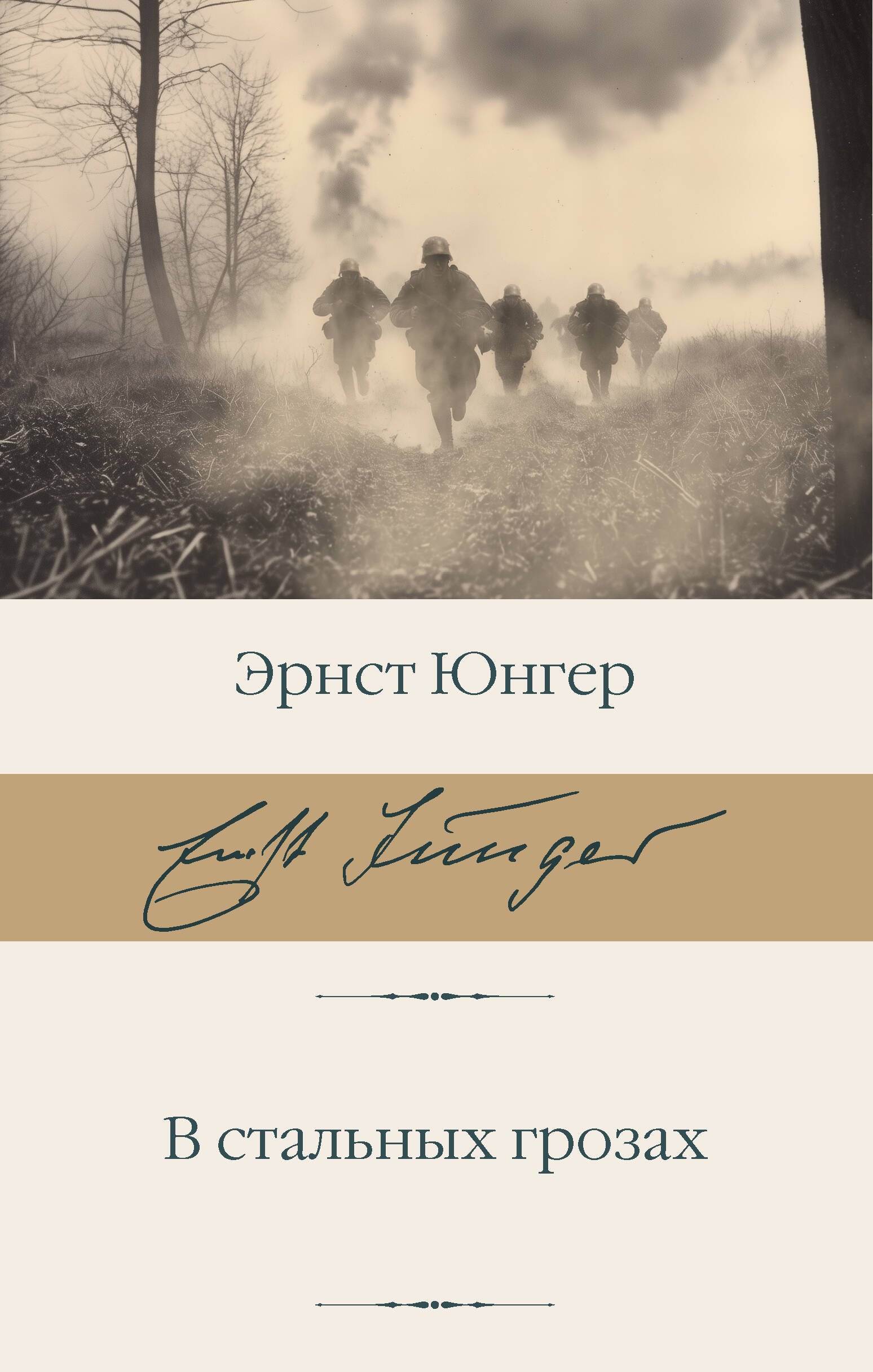 

В стальных грозах