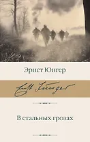 В стальных грозах