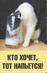 Сувенир Магнит 4*7см пластик. "кто хочет, тот напьется!"