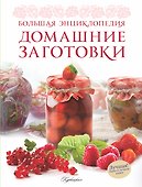 Большая энциклопедия. Домашние заготовки - 0