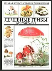 Большая иллюстрированная энциклопедия. Лечебные грибы.  Фунготерапия
