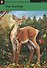 The Yearling Level 3 (+2CD) (мPengActRead) - 1
