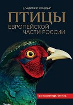 Птицы Европейской части России: фотоопределитель