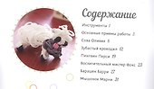 Плетение из радужных резинок. Подарки для мам и пап. Хобби экспресс - 1