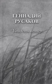 Увидеть ветер (Русаков)