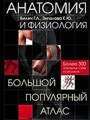 Анатомия и физиология. Большой популярный атлас - 0