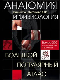 Анатомия и физиология. Большой популярный атлас