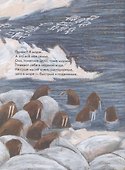 Морж как морж, ничего особенного - 1