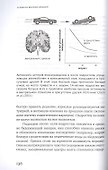 О чем он вообще думает? Мозг подростка: время уникальных возможностей - 2