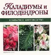 Каладиумы и филодендроны