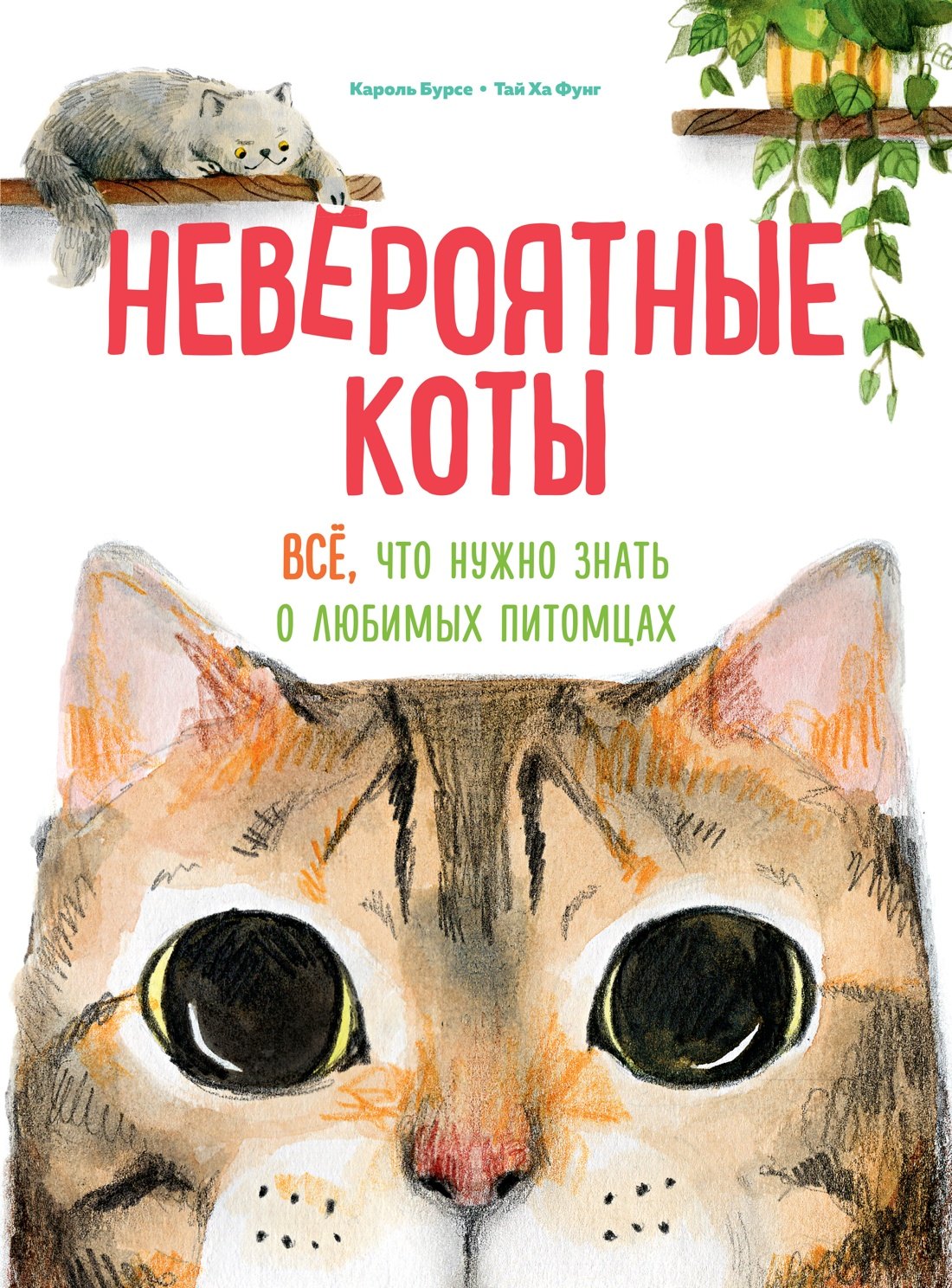 

Невероятные коты. Всё, что нужно знать о любимых питомцах